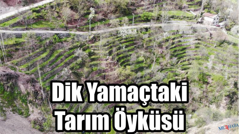 Dik Yamaçtaki Tarım Öyküsü