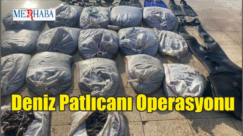 Deniz Patlıcanı Operasyonu