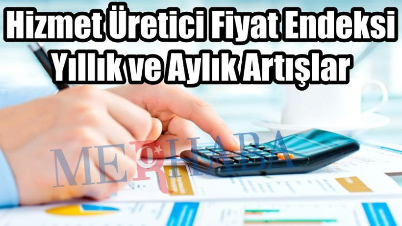 Hizmet Üretici Fiyat Endeksi