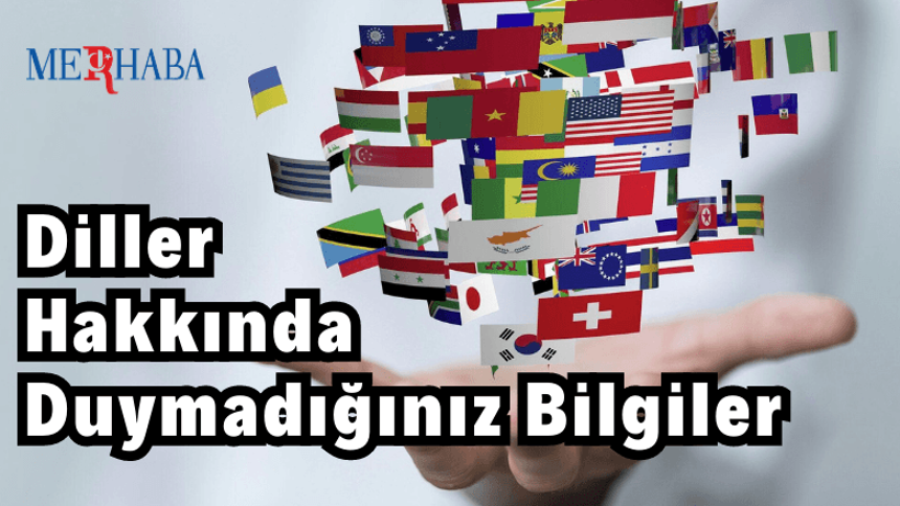 Diller Hakkında Duymadığınız Bilgiler