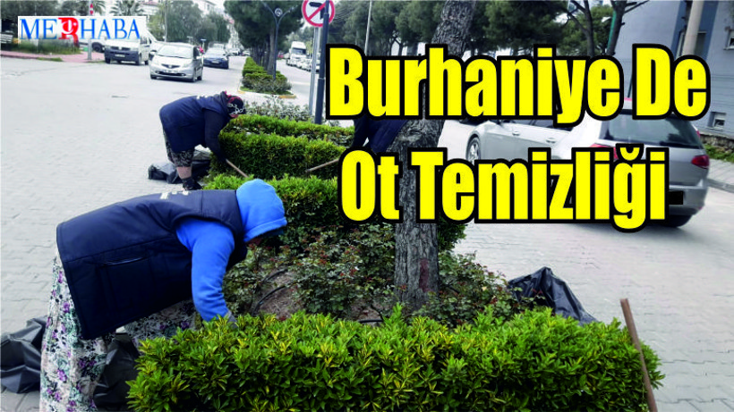 Burhaniye De Ot Temizliği