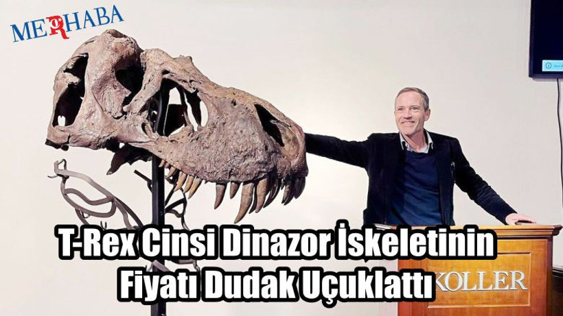 T-Rex Cinsi Dinazor