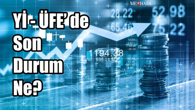 Yurt İçi Üretici Fiyat Endeksi