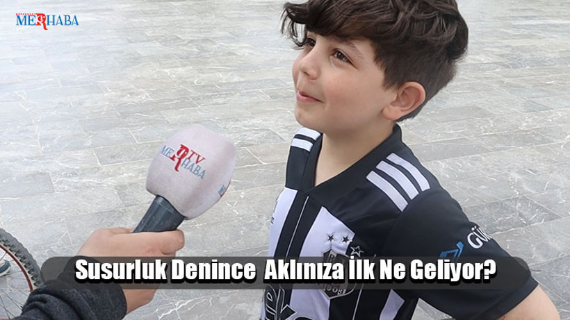 Susurluk Denince Aklınıza İlk Gelen