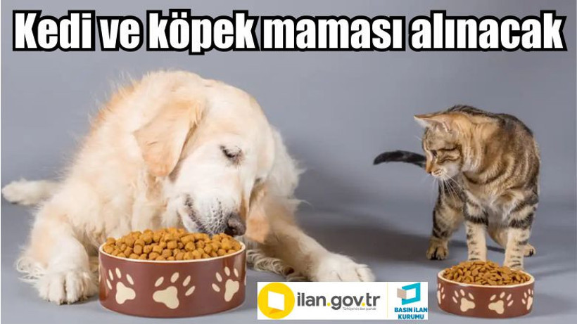 Kedi ve köpek maması alınacak