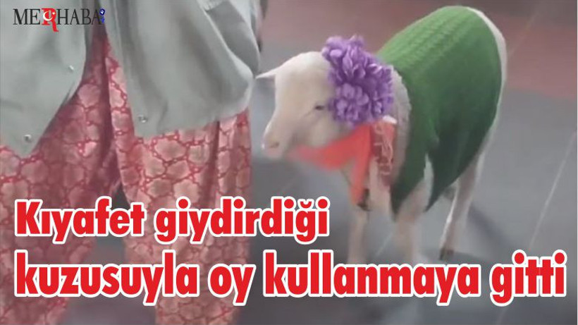 Kıyafet giydirdiği kuzusuyla oy kullanmaya gitti