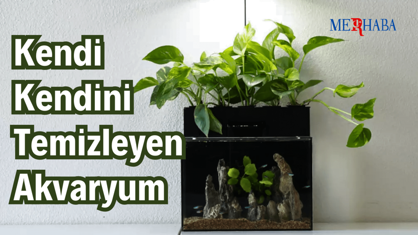 Kendi Kendini Temizleyen Akvaryum