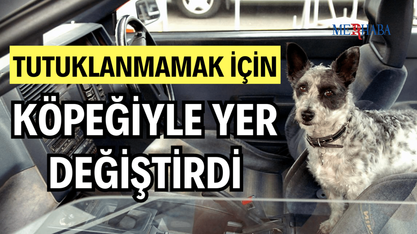 Sürücü Köpeğiyle Yer Değiştirdi