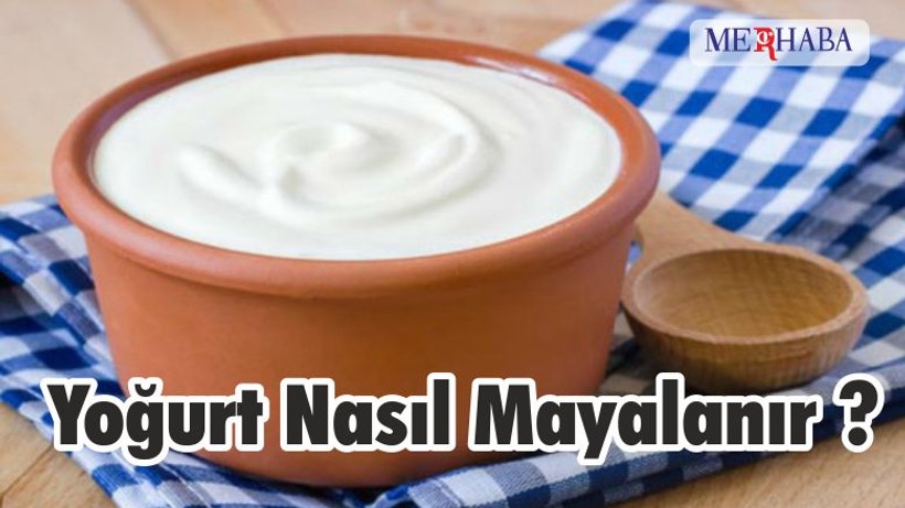 Yoğurt Nasıl Mayalanır ?
