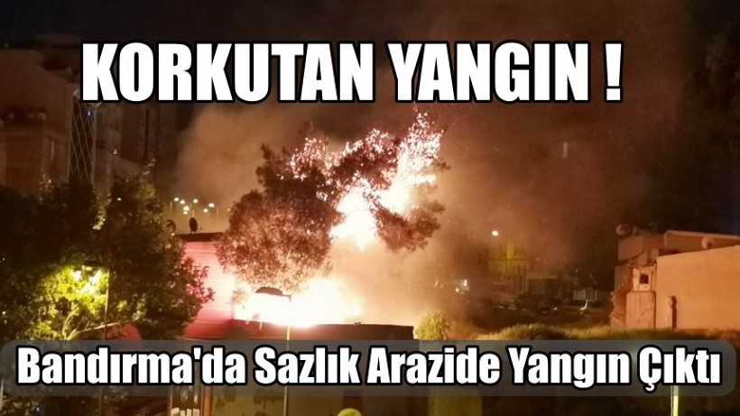 Bandırma'da Sazlık Arazide Yangın Çıktı
