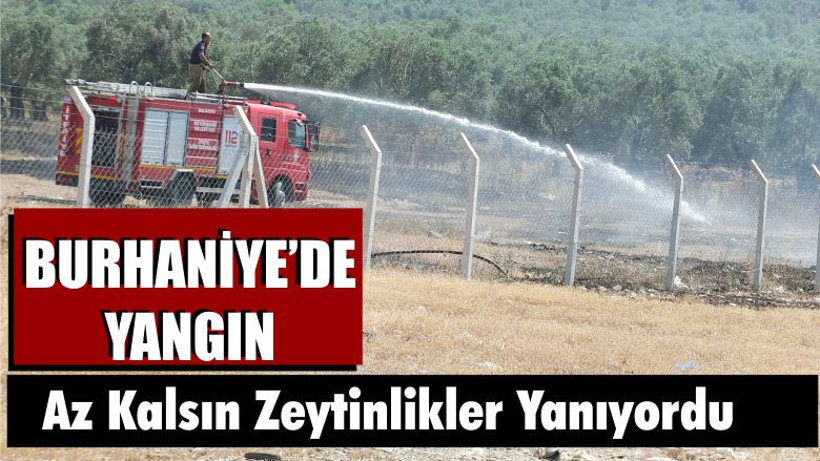 Burhaniye'de Yangın