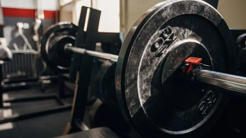 Haltere Dair Bilmeniz Gerekenler
