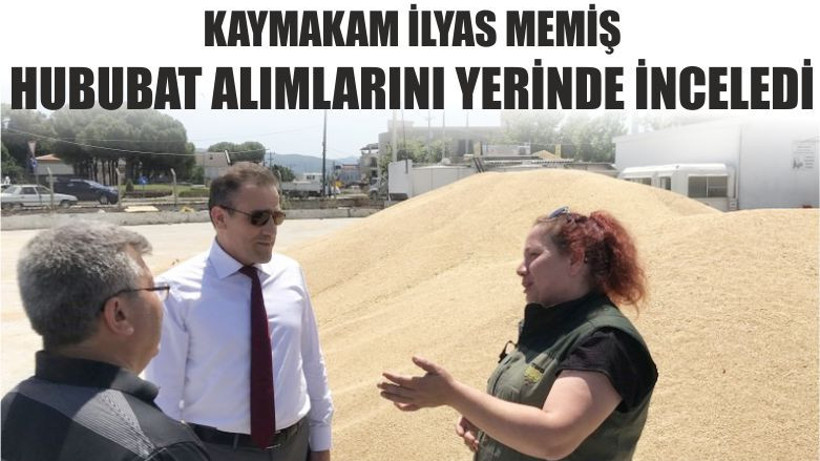 Kaymakam İlyas Memiş Hububat Alımlarını Yerinde İnceledi