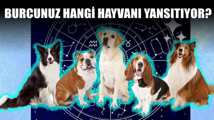 Burcunuz Hangi Hayvanın Özelliklerini Yansıtıyor?