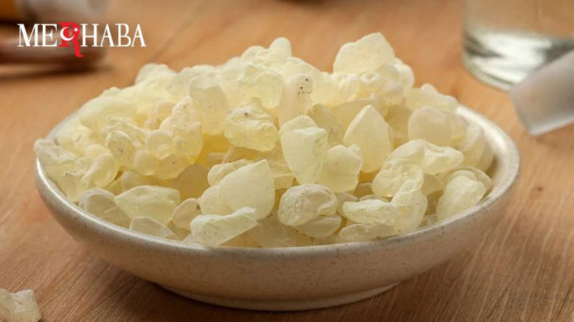 Çam Sakızı Manyas Armağanı