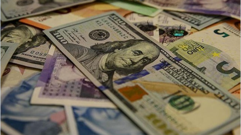 Reel efektif döviz kuru endeksi geriledi