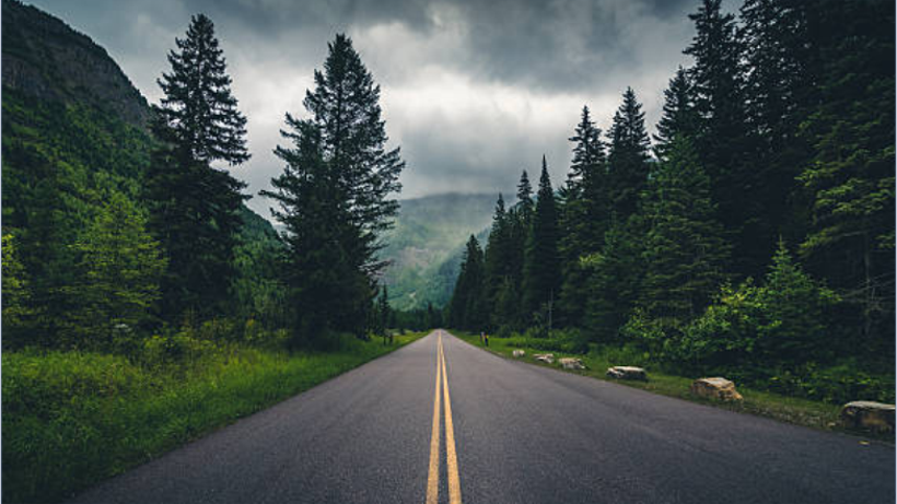 Orman Yolu Sanat Yapısı Yaptırılacak