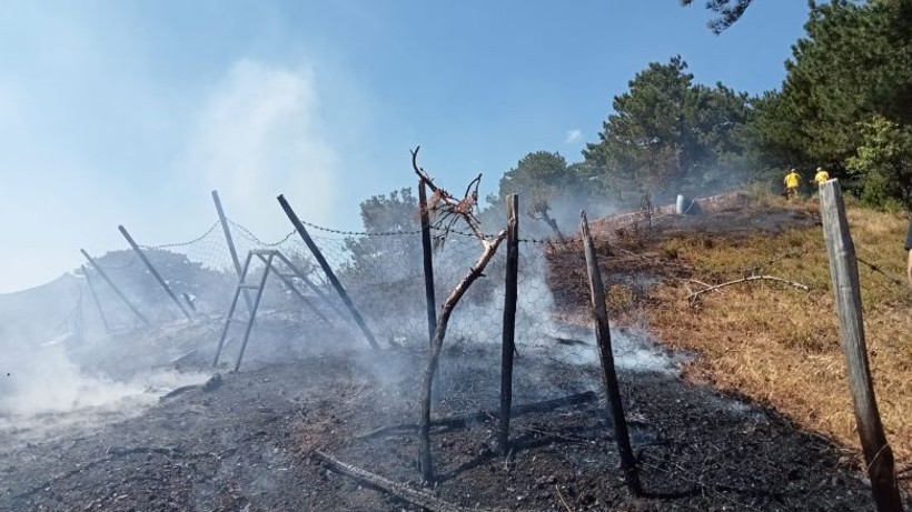 Kazdağları'nda Korkutan Yangın