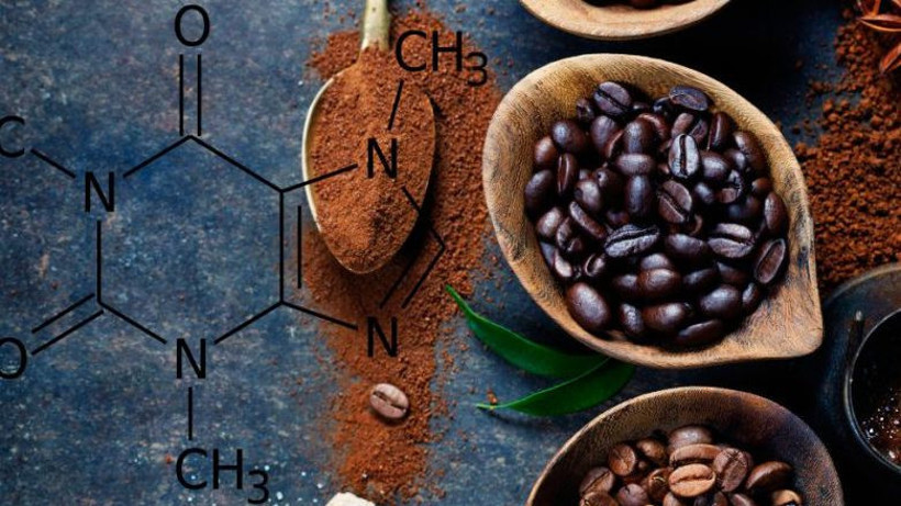 Günlük Hayatımızın Vazgeçilmezi Kafein