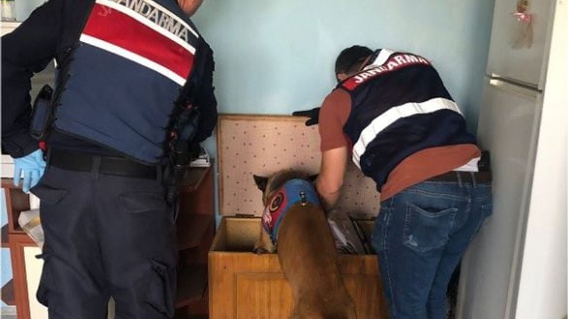 2 Narkotik Köpeği Huzur İçin Sahalarda