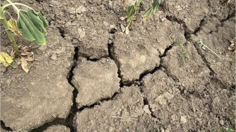 Bandırma'daki Barajlar Tehlikede