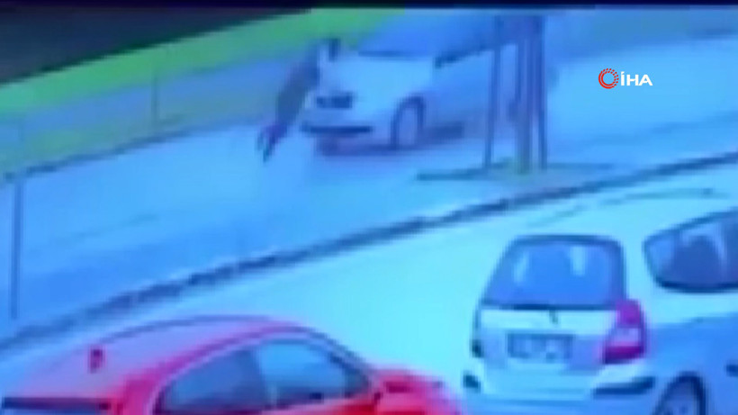 Başarısız Performans Sergileyen Dolandırıcı Güldürdü