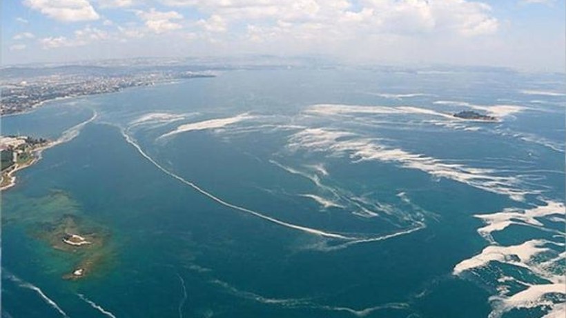 Marmara Denizi'nde Balıkların Avlanma Takvimi Değişti
