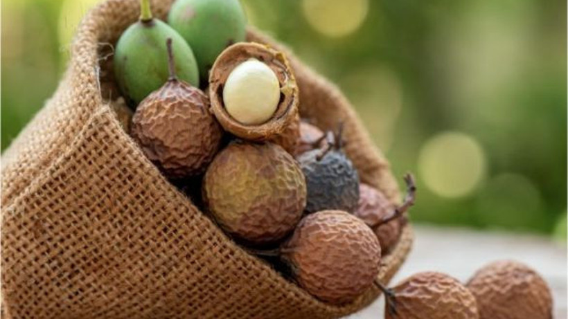 Tamanu Yağı ve Şaşırtıcı Faydaları