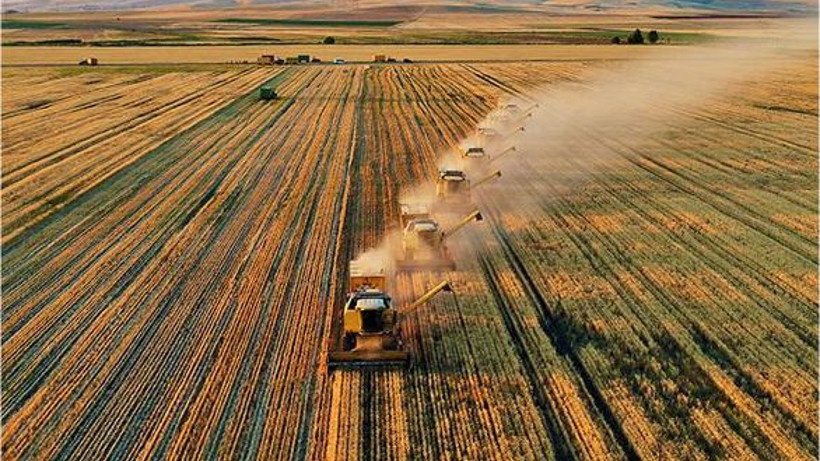 Karacabey'de 4.100 m² Tarla Satışa Çıkıyor
