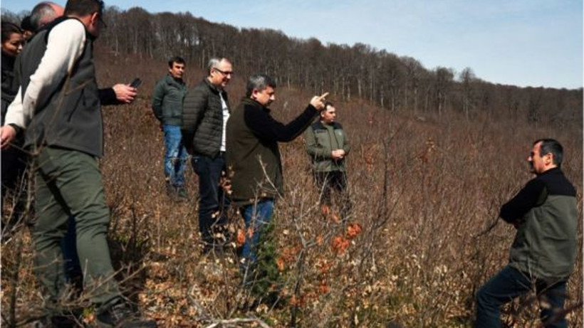 Balıkesir Meşe Ormanlarında Gençleştirme Çalışmaları
