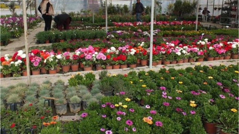 Baharın Gelişiyle Çiçek Satışları Arttı