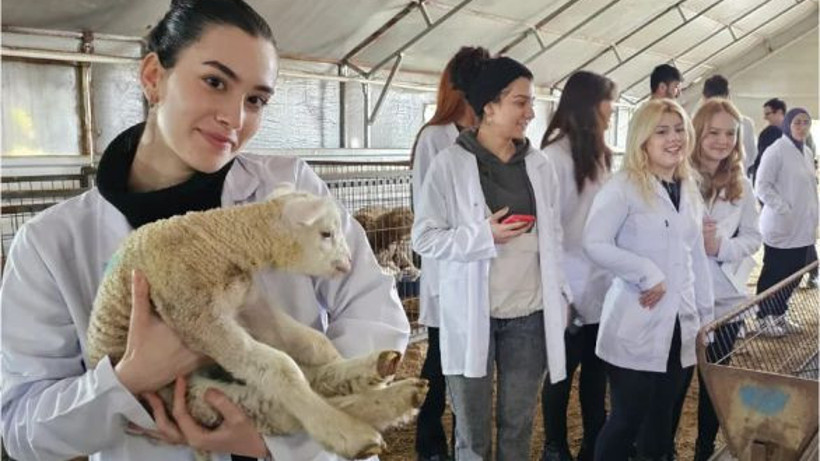 Koyun Tesislerinde Uygulamalı Eğitim