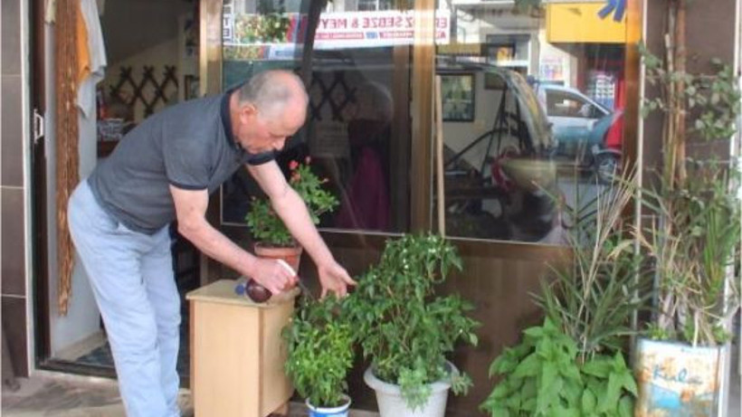 Burhaniyeli Berber Saksı Yetiştiriciliğinde İlke İmza Attı