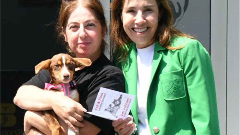 VETBÜS’ün tedavi ettiği köpeği sahiplendirildi