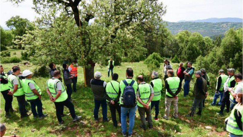 Balıkesir Meşe Ormanlarının Korunması İçin Adımlar Atılıyor