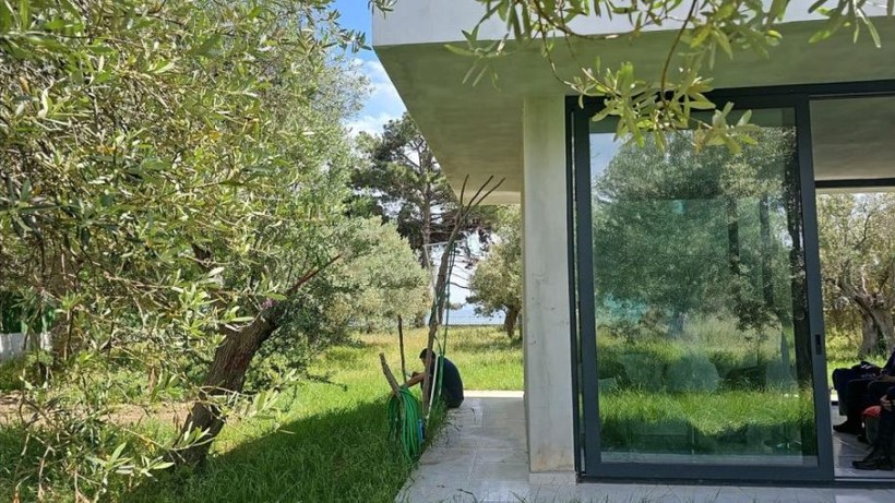 Balıkesir'de zeytinlik içine villa yapmaya kalkan kiracıyı jandarma çıkardı