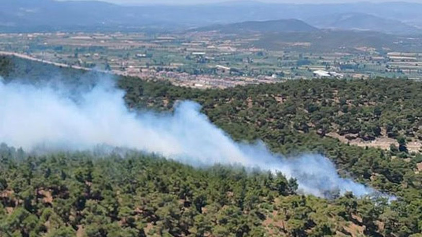 Balıkesir'de Çıkan Orman Yangını Kontrol Altında