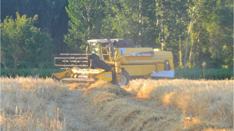 Balıkesir'de Hasat Yasaklandı! Sadece O Saat Aralığında Olacak