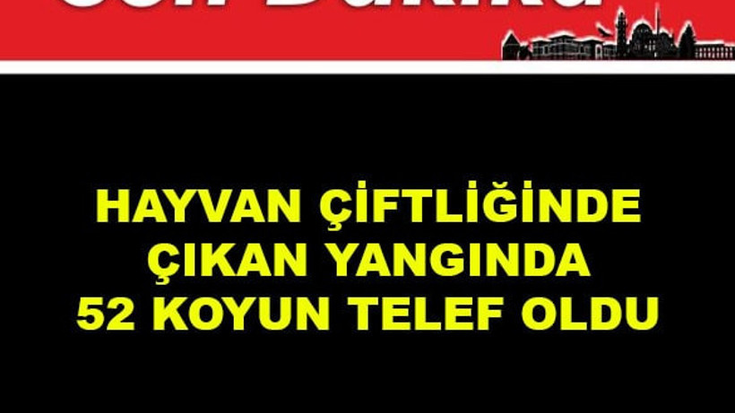 Hayvan Çiftliğinde Çıkan Yangında 52 Koyun Telef Oldu