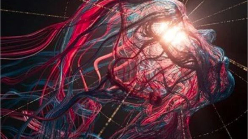 Bilim İnsanları İnceledi: Ölümden Sonra Ne Oluyor?