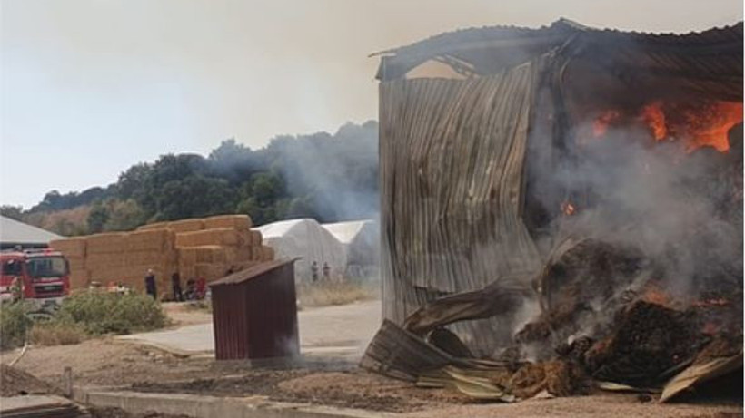 Samanlıkta 500 Ton Yonca Heba Oldu