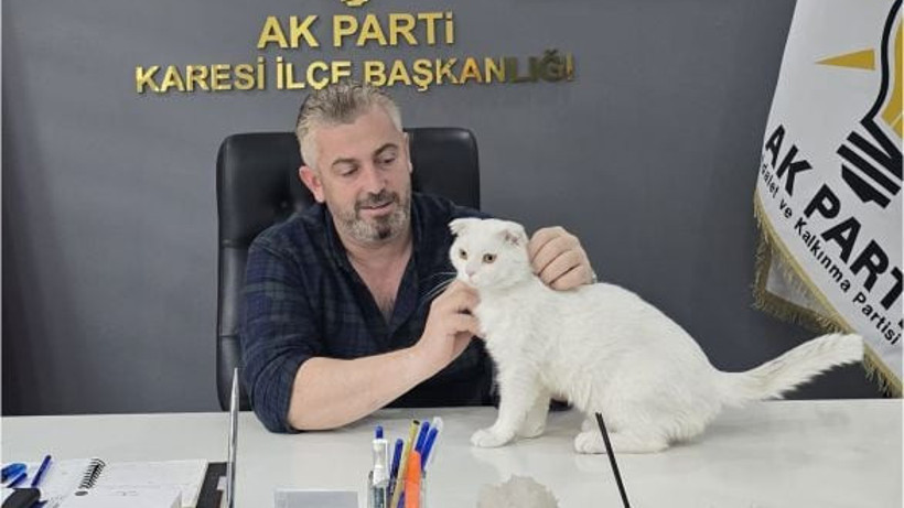 AK Parti Karesi Sokak Kedisine Yeni Yuva Oldu