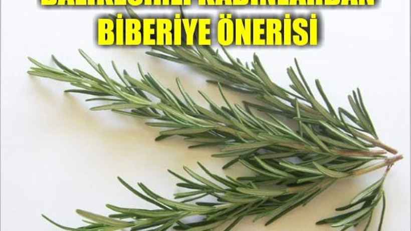 Biberiye Yağını Kullanmanız İçin 5 Sebep