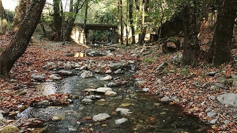 Kazdağları'nda Sonbaharın Renk Cümbüşü Büyülüyor