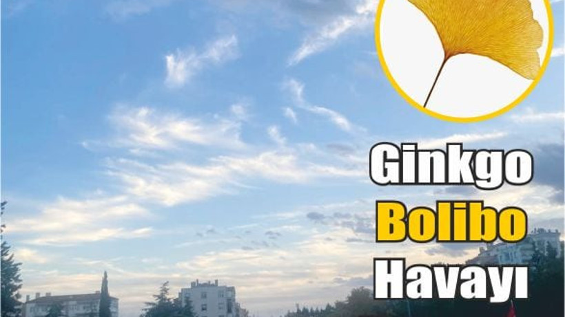 Balıkesir Temiz Havasını Ginkgoya Borçlu