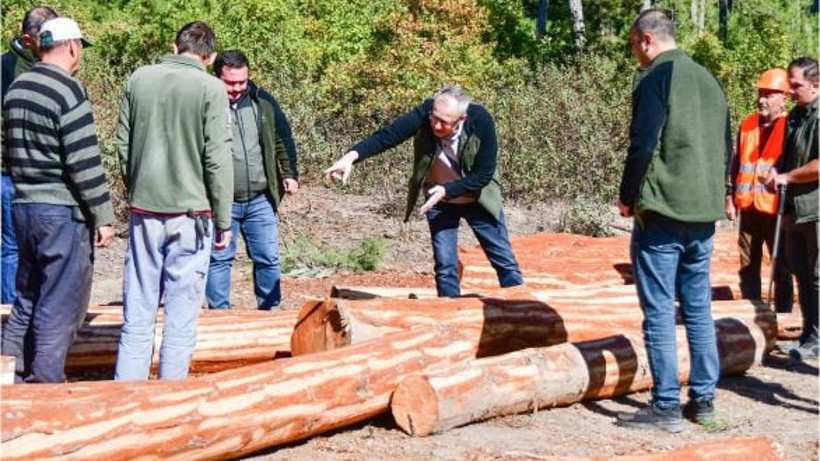 Dursunbey Ormanlarında Neler Oluyor?