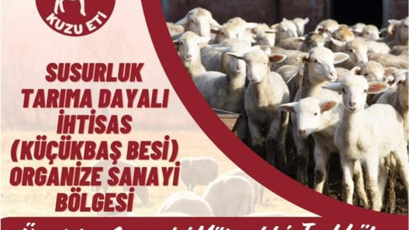 Balıkesir'de Küçükbaş Hayvancılık İçin Fırsat Kapısı