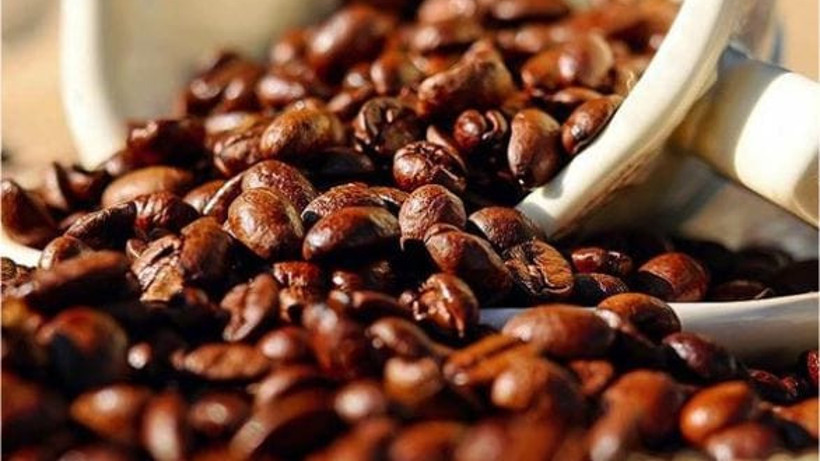 Bilim İnsanları Ömrü Uzatan Mucizeyi Keşfetti
