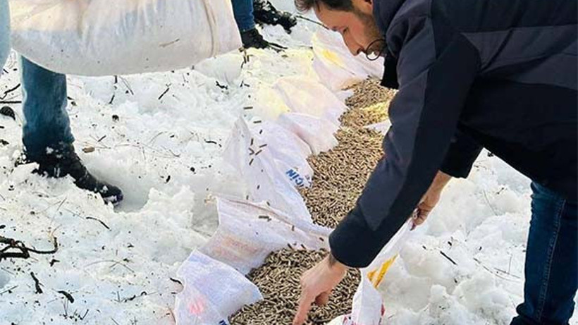 Havran’da Yaban Hayvanları Unutulmadı