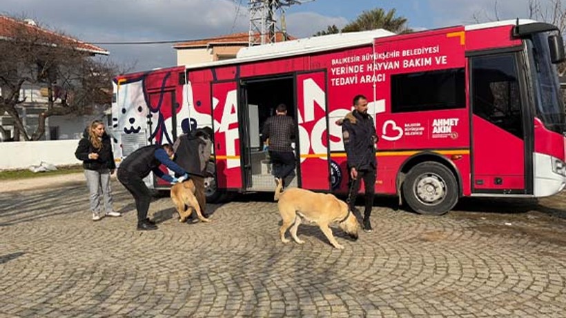 Paşa Limanında 5 Mahallede Tarama